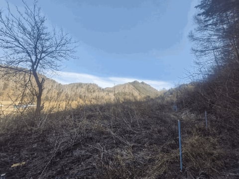 물건 사진 3