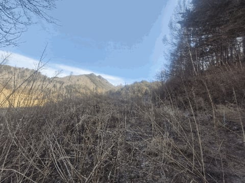 물건 사진 4