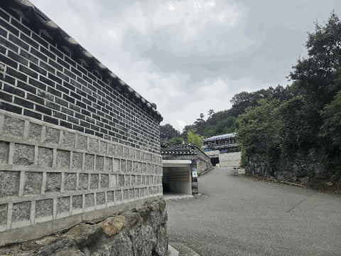 물건 사진 12