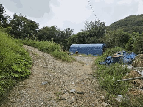 물건 사진 16
