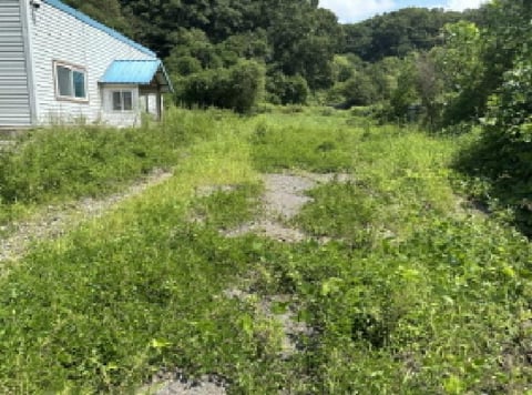 물건 사진 1