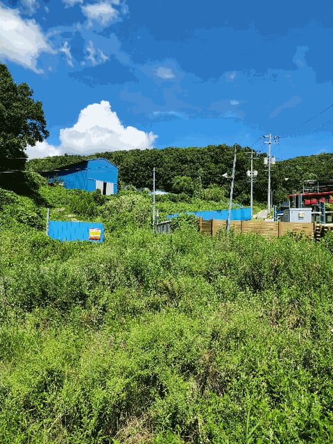 물건 사진 19