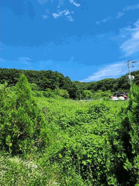 물건 사진 31