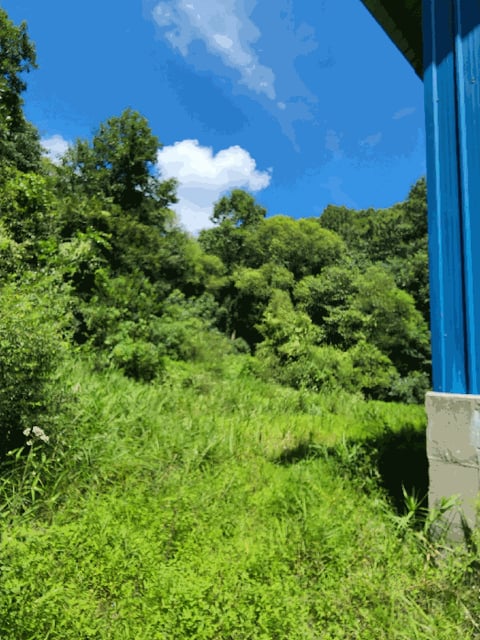 물건 사진 36