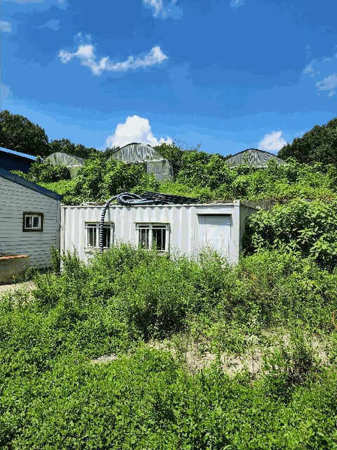 물건 사진 38