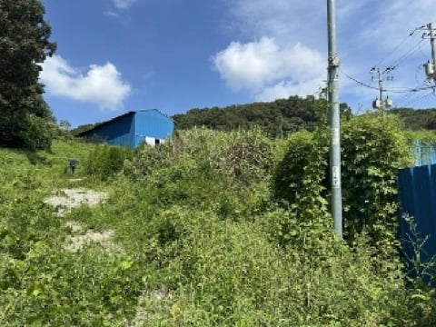 물건 사진 5