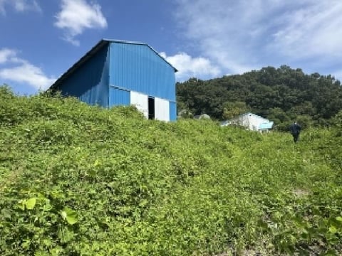 물건 사진 7