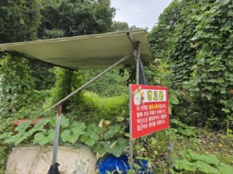 물건 사진 2