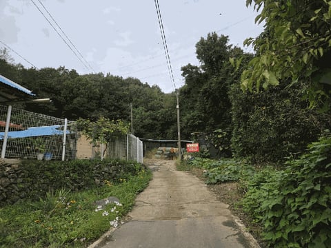 물건 사진 14