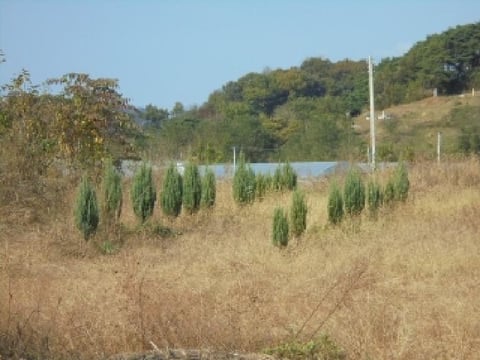물건 사진 3