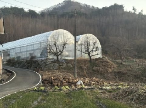 물건 사진 10