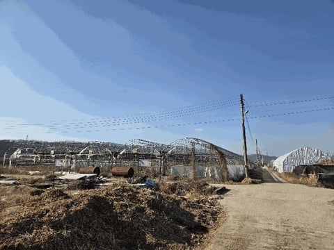 물건 사진 9