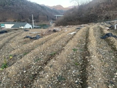물건 사진 2