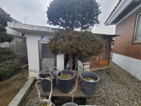 물건 사진 1