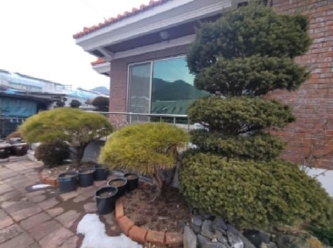 물건 사진 7