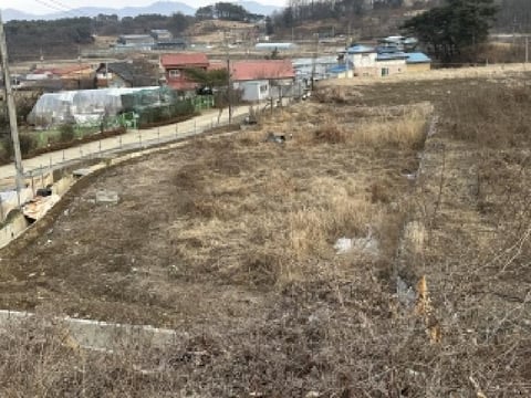 물건 사진 1