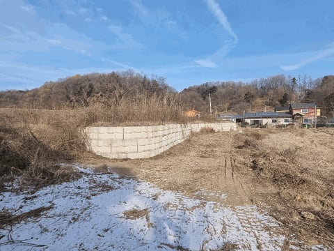 물건 사진 11