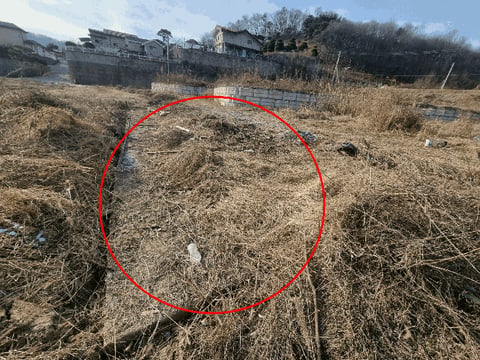 물건 사진 12