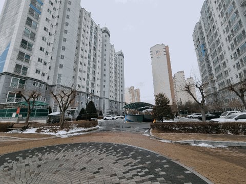 물건 사진 5