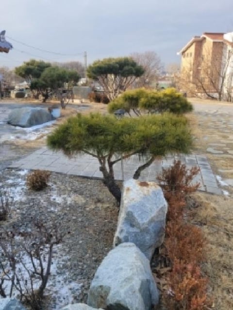 물건 사진 4