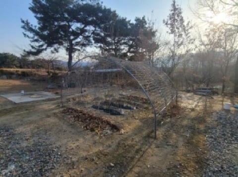 물건 사진 9