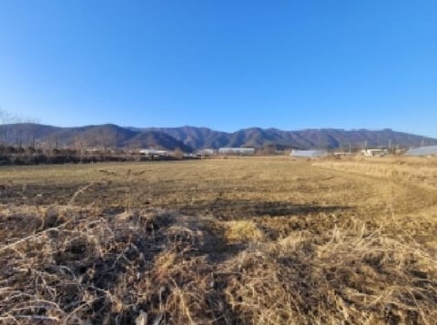 물건 사진 2