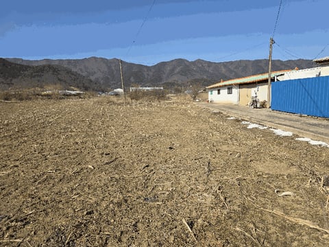 물건 사진 6