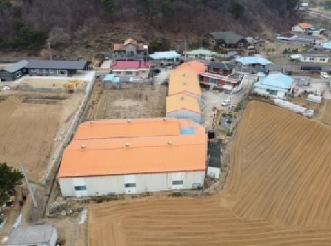 물건 사진 11