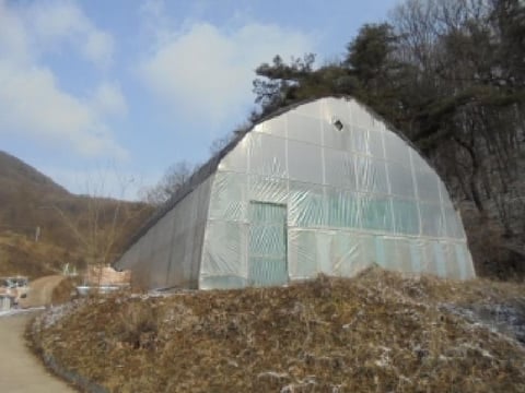 물건 사진 11