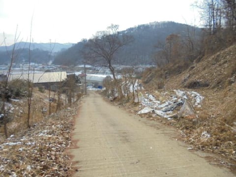 물건 사진 15
