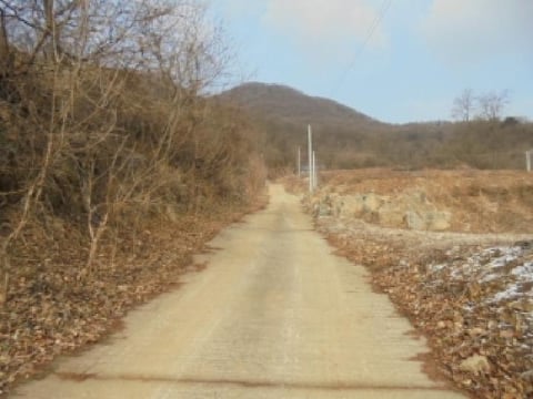 물건 사진 16