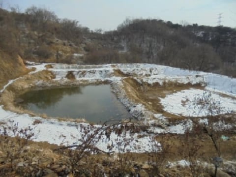 물건 사진 18