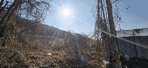 물건 사진 32