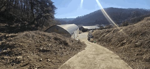 물건 사진 36