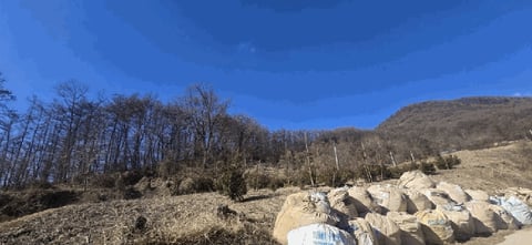 물건 사진 38