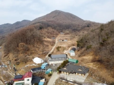 물건 사진 1