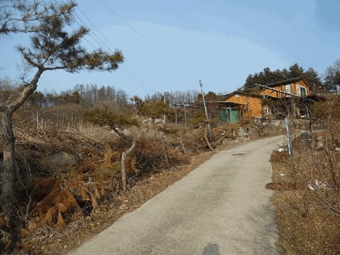 물건 사진 7