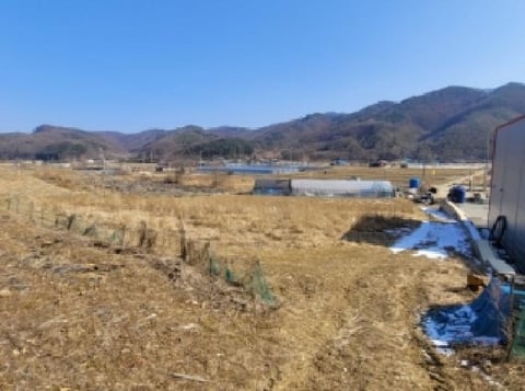 물건 사진 1