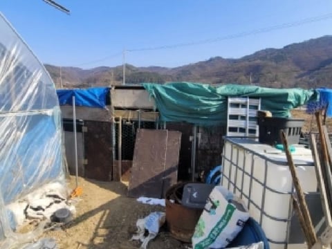 물건 사진 3