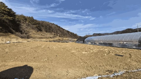 물건 사진 9