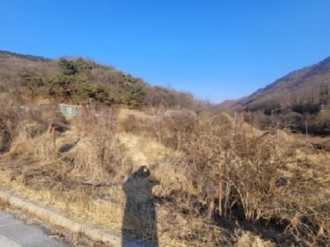 물건 사진 1