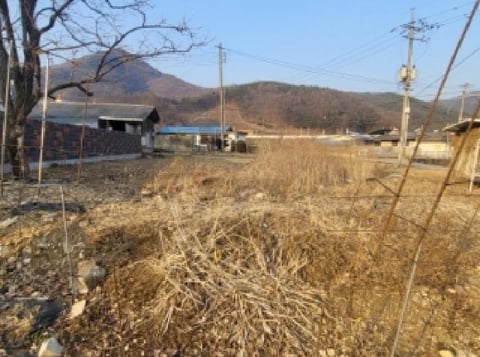 물건 사진 2