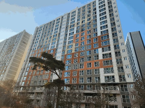 물건 사진 5