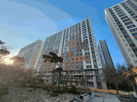 물건 사진 8