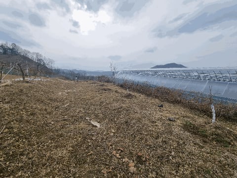 물건 사진 12
