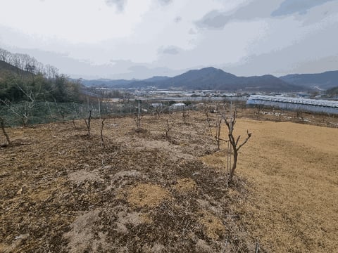 물건 사진 16
