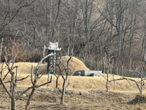 물건 사진 3