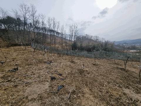 물건 사진 9