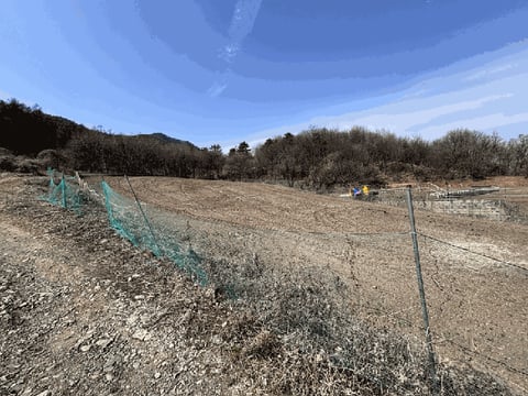 물건 사진 2