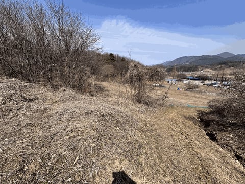 물건 사진 5